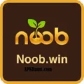 Noobwin Game